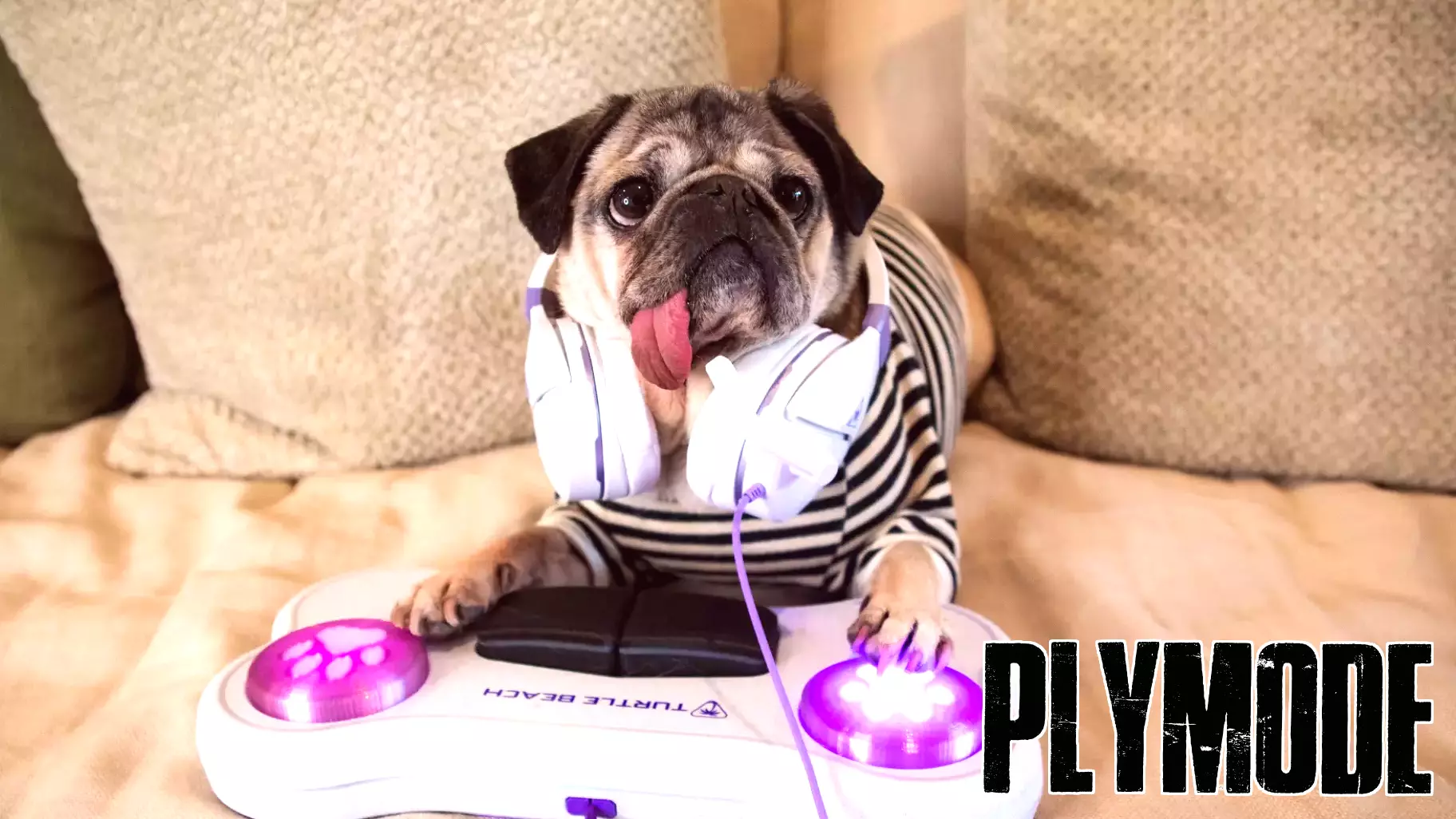 Turtle Beach Unleashes the First Video Game Controller Built for Dogs