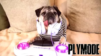 Turtle Beach Unleashes the First Video Game Controller Built for Dogs